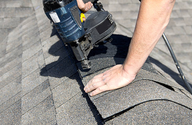 Best Roof Moss and Algae Removal  in Greens Farms, CT